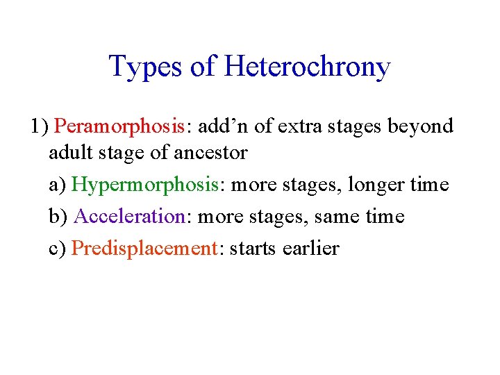 Types of Heterochrony 1) Peramorphosis: add’n of extra stages beyond adult stage of ancestor