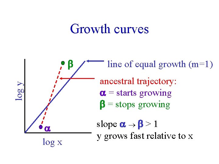 Growth curves line of equal growth (m=1) log y ancestral trajectory: = starts growing