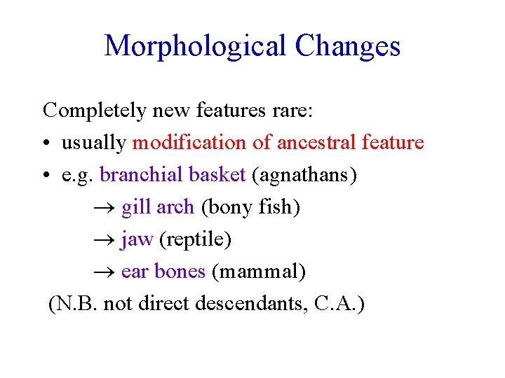 Morphological Changes Completely new features rare: • usually modification of ancestral feature • e.