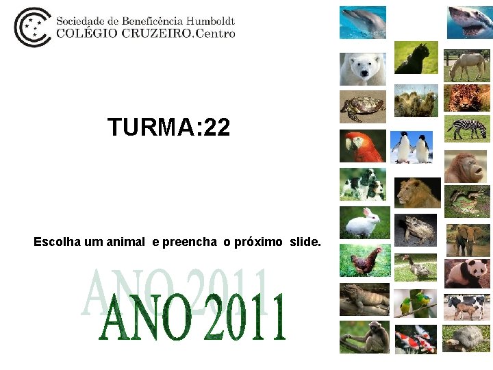 TURMA: 22 Escolha um animal e preencha o próximo slide. 