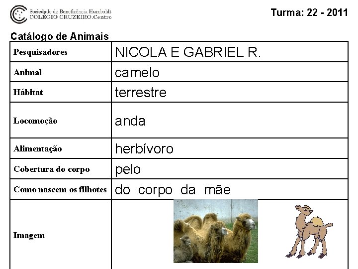 Turma: 22 - 2011 Catálogo de Animais Hábitat NICOLA E GABRIEL R. camelo terrestre