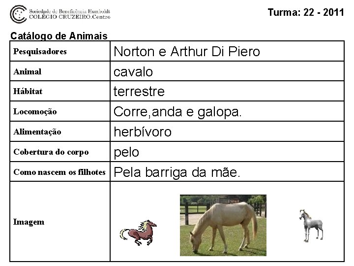 Turma: 22 - 2011 Catálogo de Animais Pesquisadores Animal Hábitat Locomoção Alimentação Cobertura do