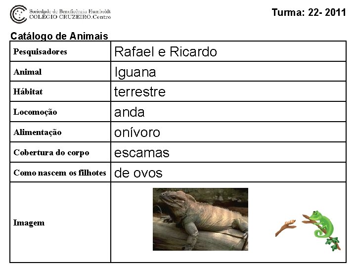 Turma: 22 - 2011 Catálogo de Animais Pesquisadores Animal Hábitat Locomoção Alimentação Cobertura do