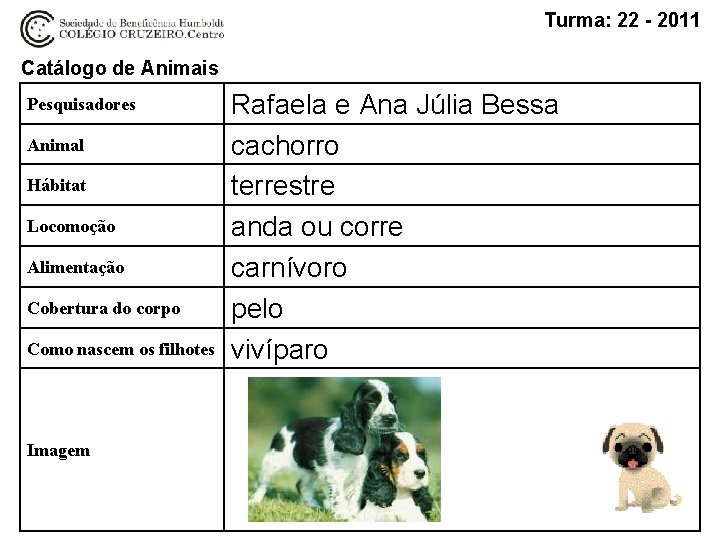 Turma: 22 - 2011 Catálogo de Animais Pesquisadores Animal Hábitat Locomoção Alimentação Cobertura do