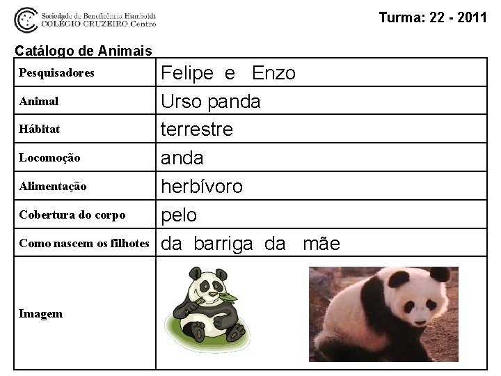 Turma: 22 - 2011 Catálogo de Animais Pesquisadores Animal Hábitat Locomoção Alimentação Cobertura do