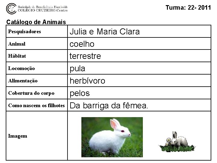 Turma: 22 - 2011 Catálogo de Animais Pesquisadores Animal Hábitat Locomoção Alimentação Cobertura do