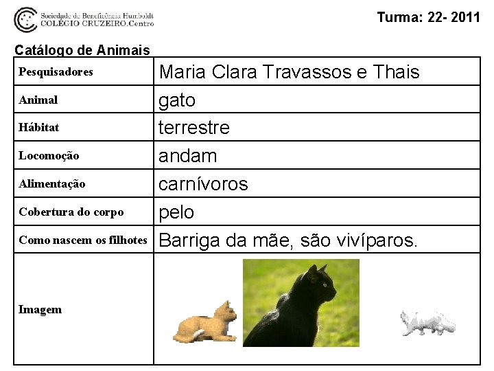 Turma: 22 - 2011 Catálogo de Animais Pesquisadores Animal Hábitat Locomoção Alimentação Cobertura do