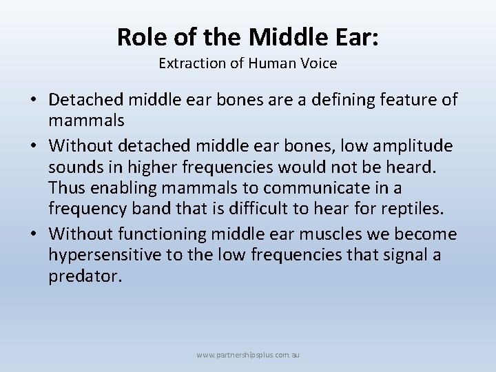 Role of the Middle Ear: Extraction of Human Voice • Detached middle ear bones