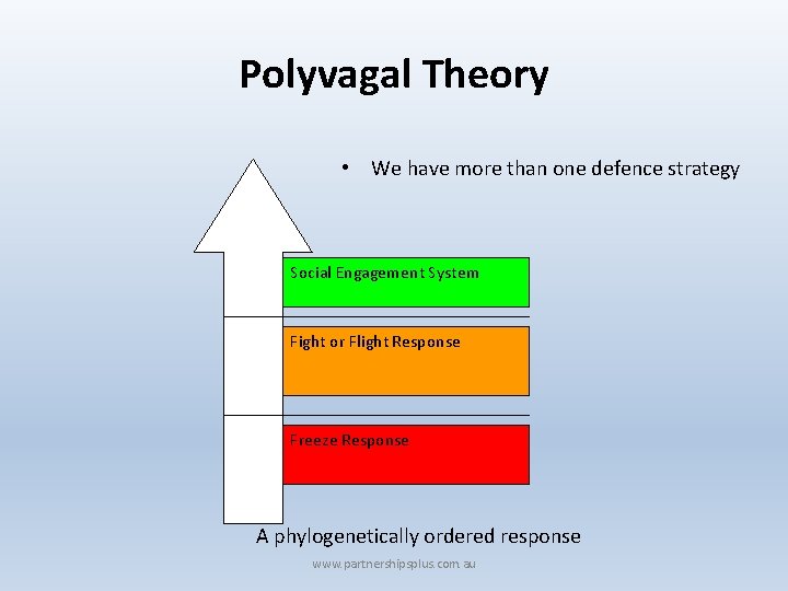 Polyvagal Theory • We have more than one defence strategy Social Engagement System Fight