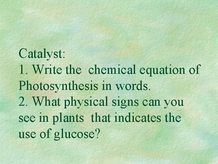 Catalyst: 1. Write the chemical equation of Photosynthesis in words. 2. What physical signs