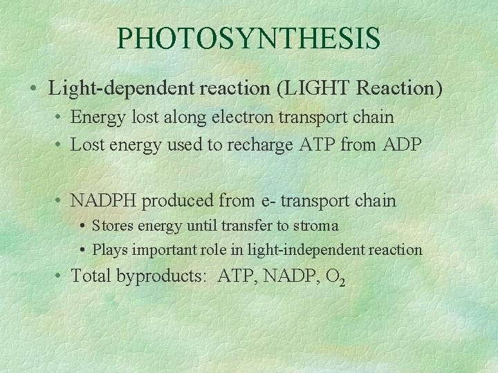 PHOTOSYNTHESIS • Light-dependent reaction (LIGHT Reaction) • Energy lost along electron transport chain •