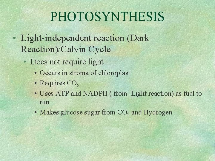 PHOTOSYNTHESIS • Light-independent reaction (Dark Reaction)/Calvin Cycle • Does not require light • Occurs