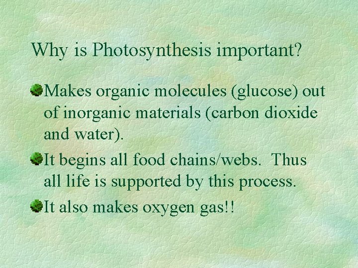 Why is Photosynthesis important? Makes organic molecules (glucose) out of inorganic materials (carbon dioxide