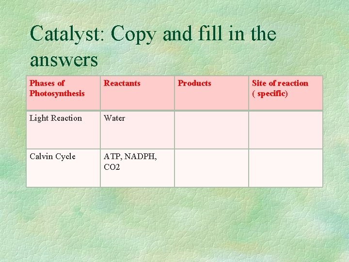 Catalyst: Copy and fill in the answers Phases of Photosynthesis Reactants Light Reaction Water
