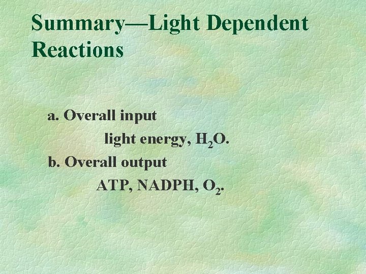 Summary—Light Dependent Reactions a. Overall input light energy, H 2 O. b. Overall output