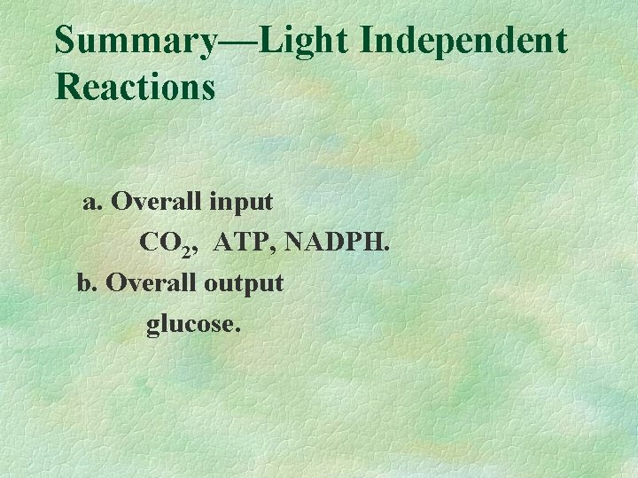 Summary—Light Independent Reactions a. Overall input CO 2, ATP, NADPH. b. Overall output glucose.