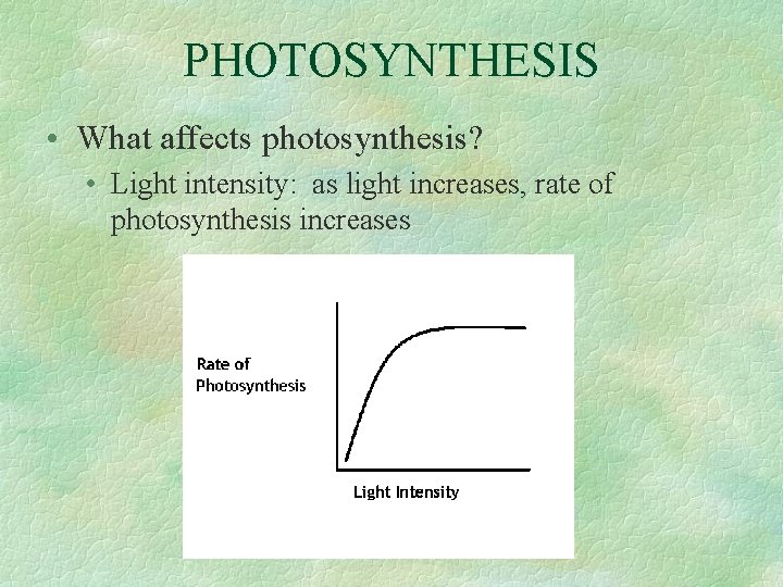 PHOTOSYNTHESIS • What affects photosynthesis? • Light intensity: as light increases, rate of photosynthesis