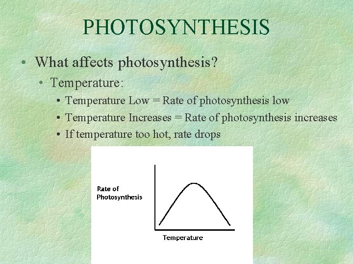 PHOTOSYNTHESIS • What affects photosynthesis? • Temperature: • Temperature Low = Rate of photosynthesis