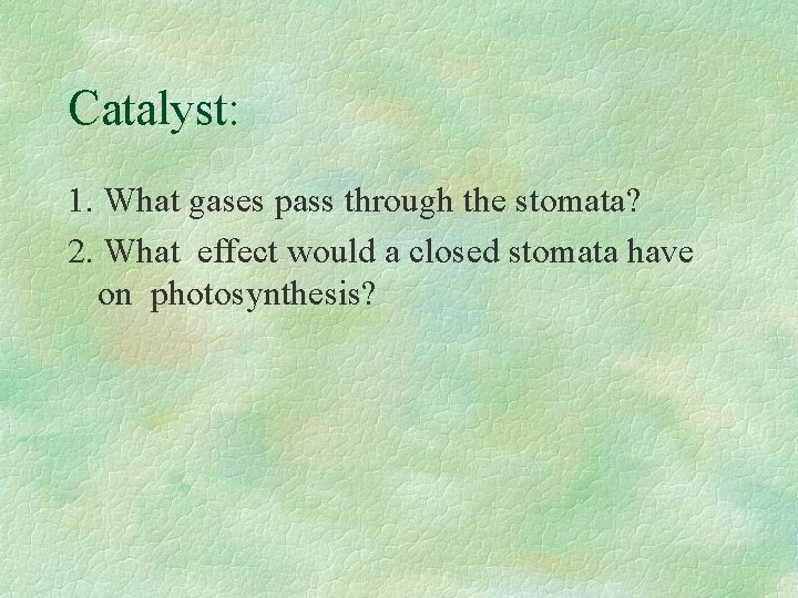 Catalyst: 1. What gases pass through the stomata? 2. What effect would a closed