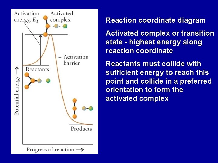 Reaction coordinate diagram Activated complex or transition state - highest energy along reaction coordinate Reaction coordinate diagram Activated complex or transition state - highest energy along reaction coordinate