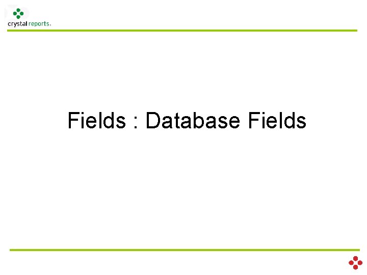 Fields : Database Fields 