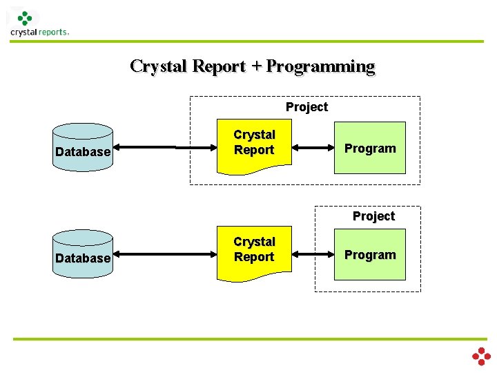 Crystal Report + Programming Project Database Crystal Report Program 