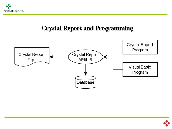 Crystal Report and Programming 