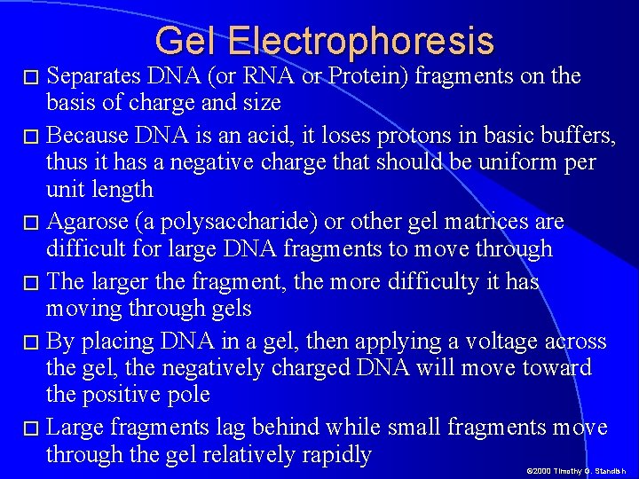 � Separates Gel Electrophoresis DNA (or RNA or Protein) fragments on the basis of