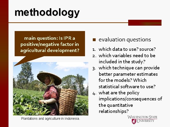 methodology main question: Is IPR a positive/negative factor in agricultural development? Plantations and agriculture