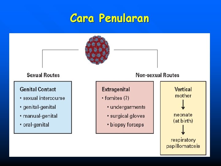 Cara Penularan 