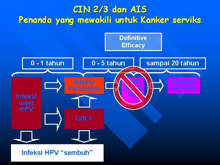 CIN 2/3 dan AIS Penanda yang mewakili untuk Kanker serviks Definitive Efficacy 0 -