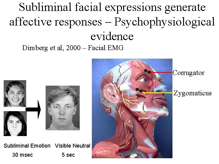 Subliminal facial expressions generate affective responses – Psychophysiological evidence Dimberg et al, 2000 –