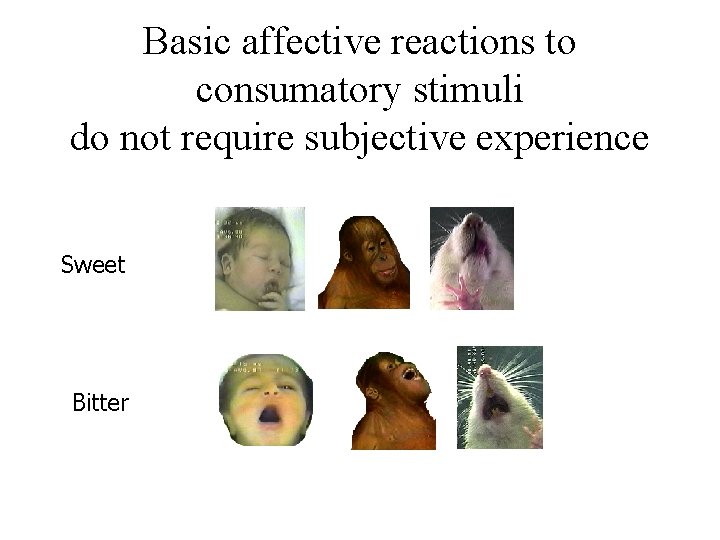 Basic affective reactions to consumatory stimuli do not require subjective experience Sweet Bitter 