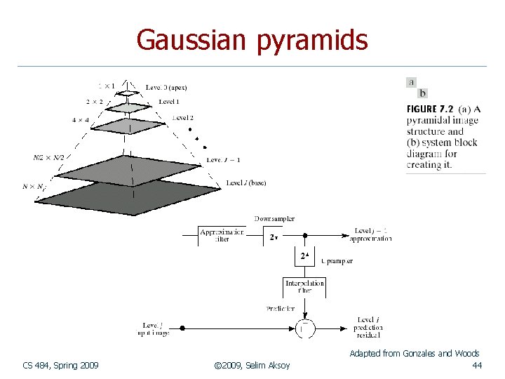 Gaussian pyramids CS 484, Spring 2009 © 2009, Selim Aksoy Adapted from Gonzales and