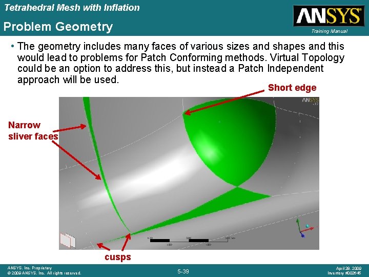 Tetrahedral Mesh with Inflation Problem Geometry Training Manual • The geometry includes many faces