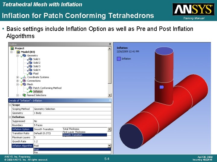 Tetrahedral Mesh with Inflation for Patch Conforming Tetrahedrons Training Manual • Basic settings include