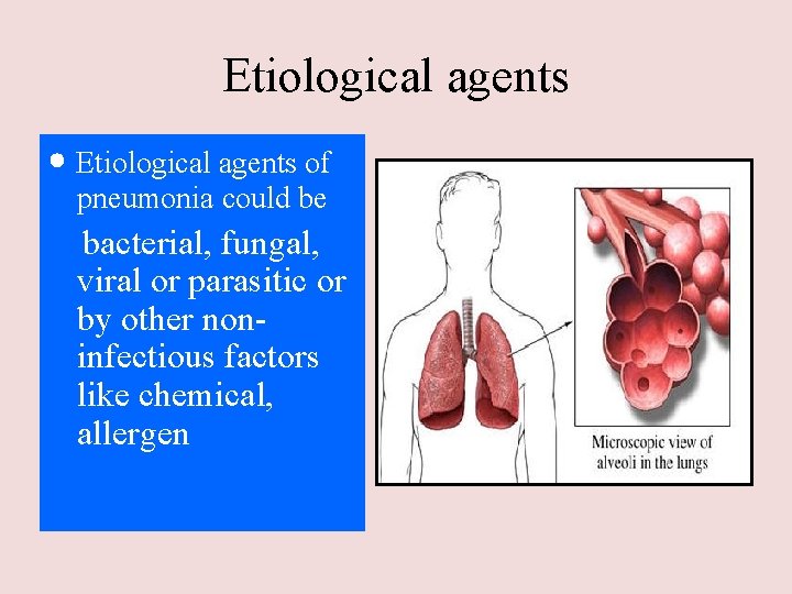 Etiological agents • Etiological agents of pneumonia could be bacterial, fungal, viral or parasitic