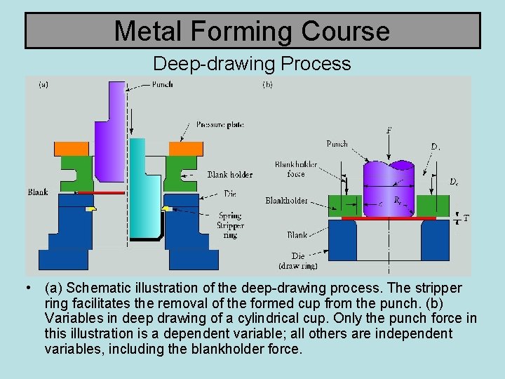 Metal Forming Course Deep-drawing Process • (a) Schematic illustration of the deep-drawing process. The