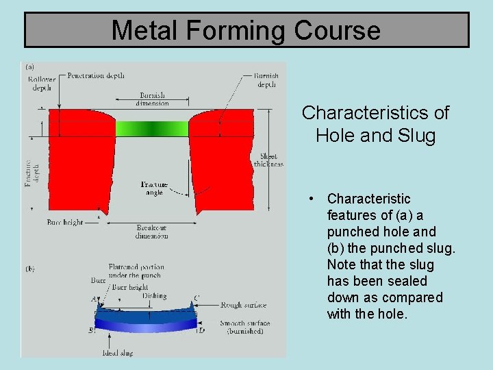 Metal Forming Course Characteristics of Hole and Slug • Characteristic features of (a) a