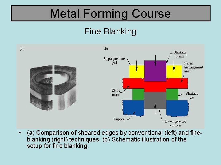 Metal Forming Course Fine Blanking • (a) Comparison of sheared edges by conventional (left)