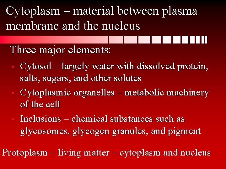 Cytoplasm – material between plasma membrane and the nucleus Three major elements: • •