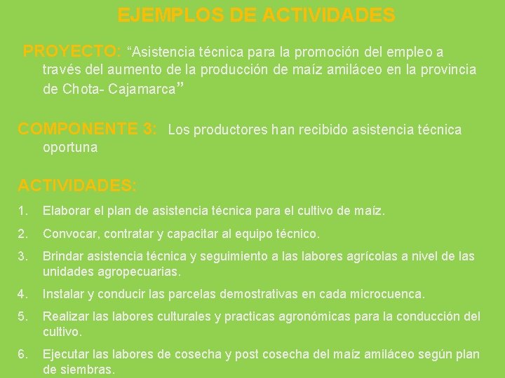 EJEMPLOS DE ACTIVIDADES PROYECTO: “Asistencia técnica para la promoción del empleo a través del