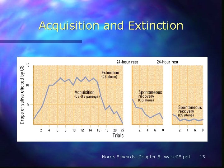 Acquisition and Extinction Norris Edwards: Chapter 8: Wade 08. ppt 13 