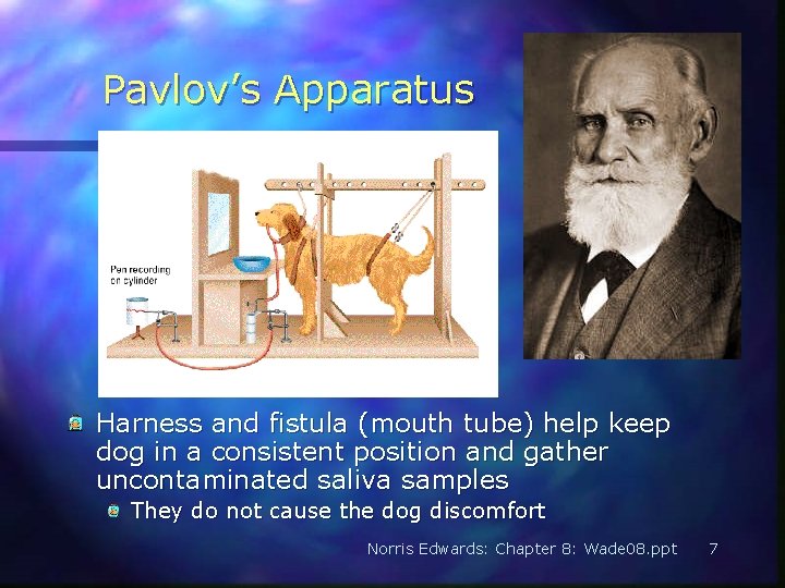 Pavlov’s Apparatus Harness and fistula (mouth tube) help keep dog in a consistent position