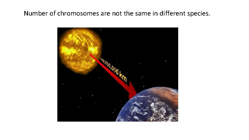 Number of chromosomes are not the same in different species. 