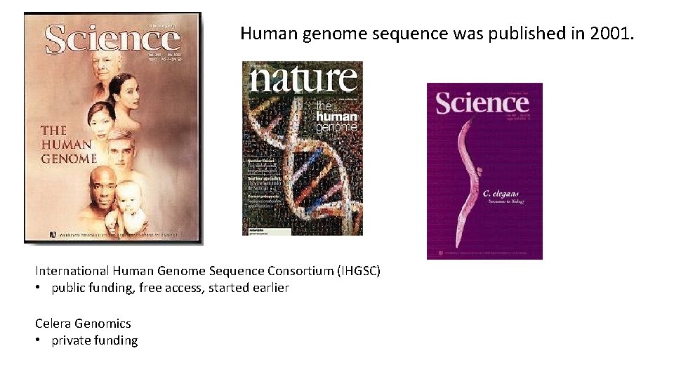 Human genome sequence was published in 2001. International Human Genome Sequence Consortium (IHGSC) •