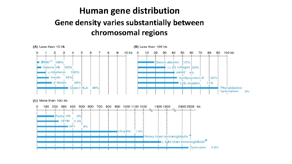 Human gene distribution Gene density varies substantially between chromosomal regions 