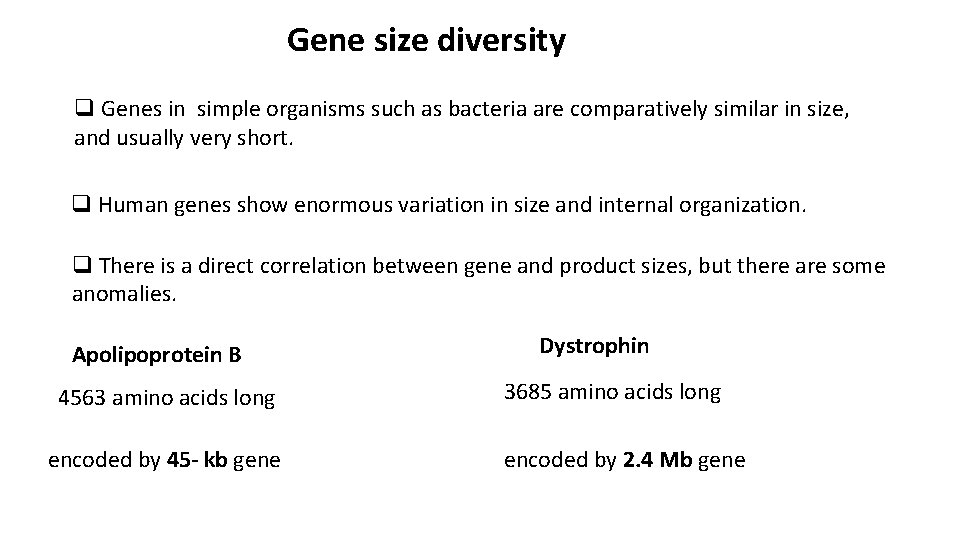 Gene size diversity q Genes in simple organisms such as bacteria are comparatively similar