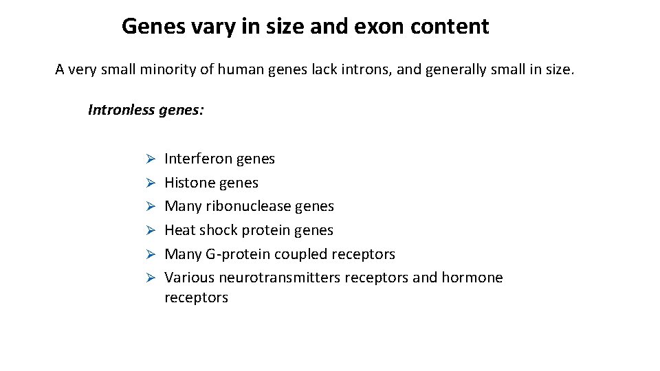 Genes vary in size and exon content A very small minority of human genes