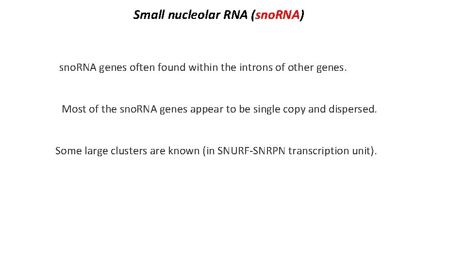 Small nucleolar RNA (sno. RNA) sno. RNA genes often found within the introns of